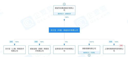 螞蟻集團高層變動玄機 信息系統集成服務背后戰略調整
